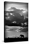 He Walks Under An African Sky-null-Mounted Giclee Print