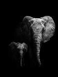 Elephant!-null-Giclee Print