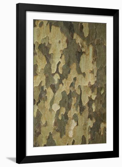Wildwood IV-Tony Koukos-Framed Giclee Print