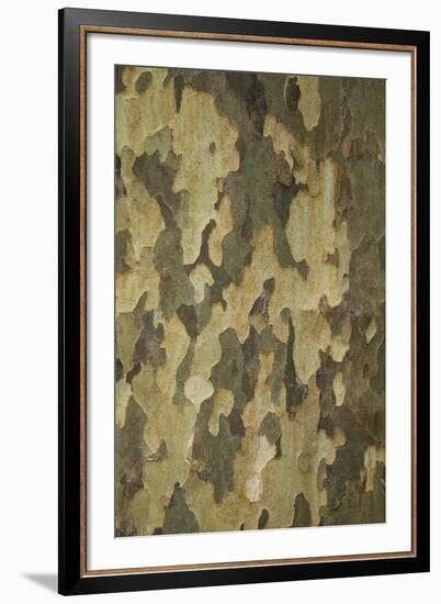 Wildwood IV-Tony Koukos-Framed Giclee Print