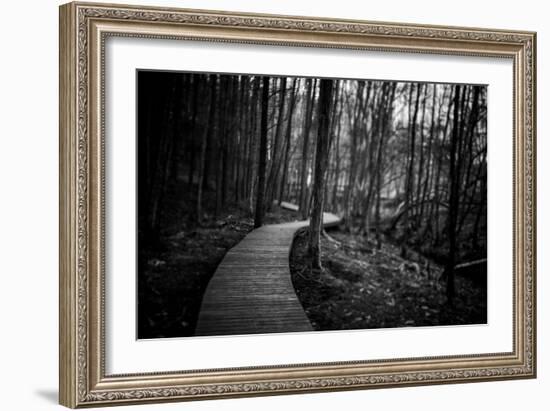 Wildwood Path-Rory Garforth-Framed Photographic Print