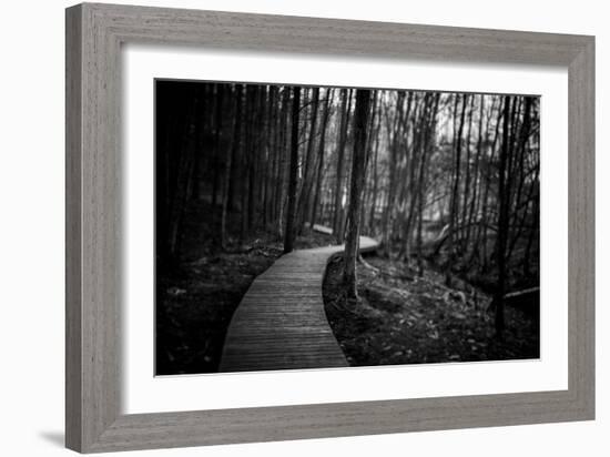 Wildwood Path-Rory Garforth-Framed Photographic Print