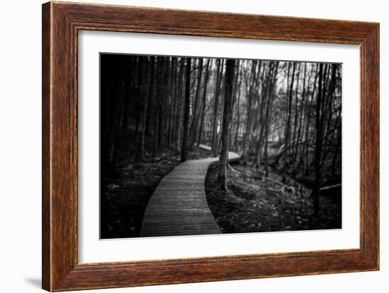 Wildwood Path-Rory Garforth-Framed Photographic Print