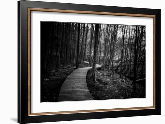 Wildwood Path-Rory Garforth-Framed Photographic Print