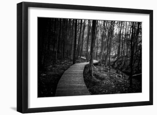 Wildwood Path-Rory Garforth-Framed Photographic Print