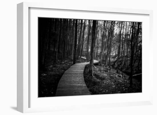 Wildwood Path-Rory Garforth-Framed Photographic Print