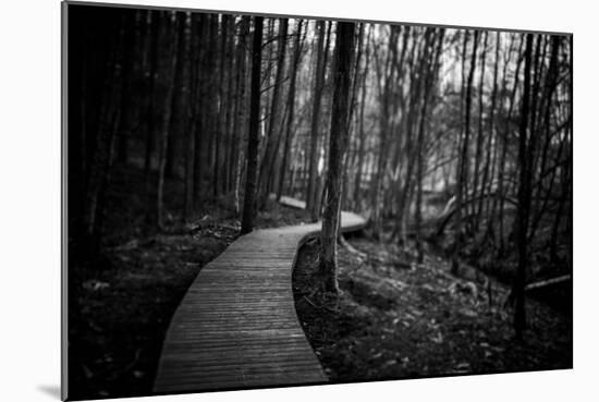 Wildwood Path-Rory Garforth-Mounted Photographic Print