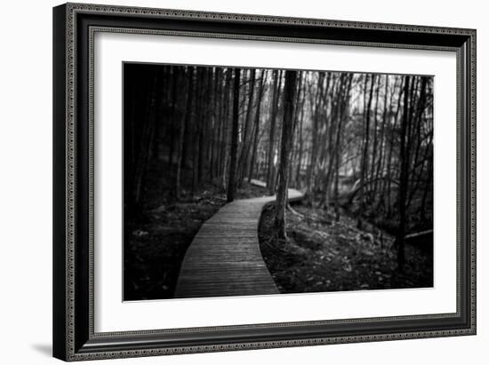 Wildwood Path-Rory Garforth-Framed Photographic Print