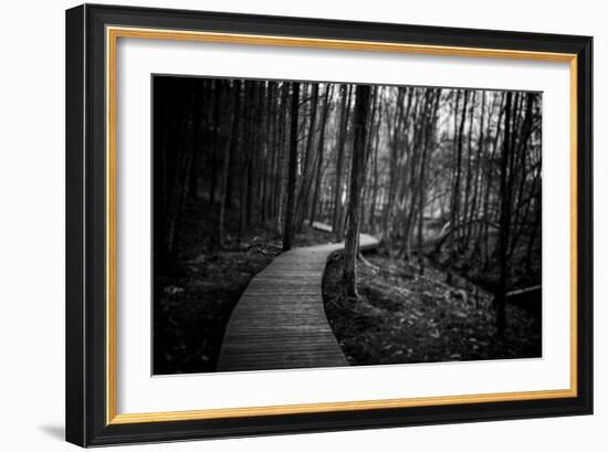 Wildwood Path-Rory Garforth-Framed Photographic Print