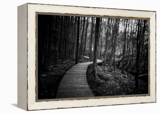 Wildwood Path-Rory Garforth-Framed Premier Image Canvas