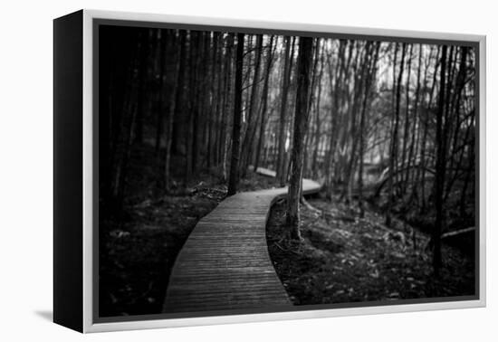 Wildwood Path-Rory Garforth-Framed Premier Image Canvas