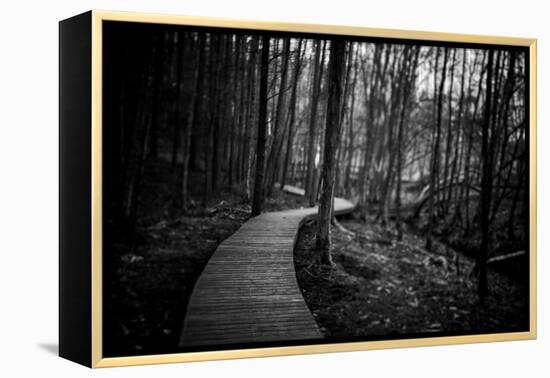 Wildwood Path-Rory Garforth-Framed Premier Image Canvas