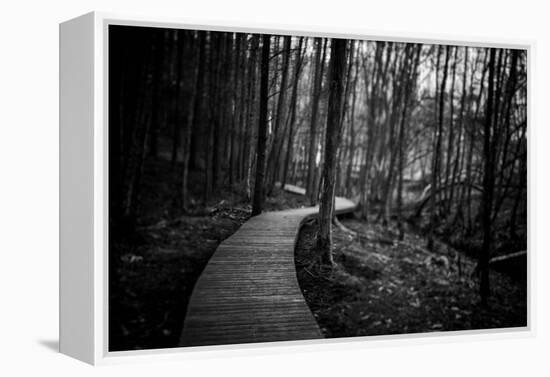 Wildwood Path-Rory Garforth-Framed Premier Image Canvas