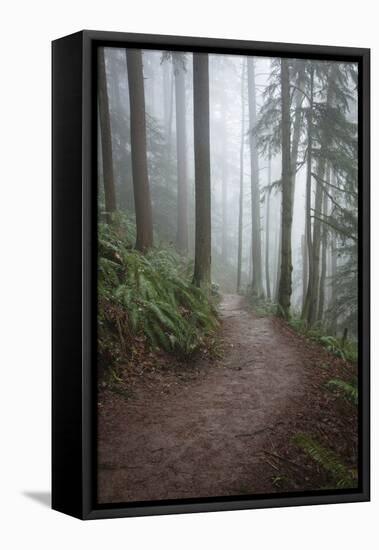 Wildwood Trail In Forest Park. Portland, Oregon-Justin Bailie-Framed Premier Image Canvas