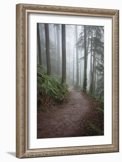 Wildwood Trail In Forest Park. Portland, Oregon-Justin Bailie-Framed Photographic Print