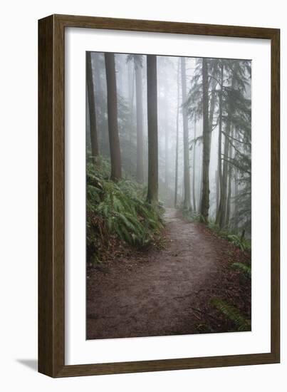 Wildwood Trail In Forest Park. Portland, Oregon-Justin Bailie-Framed Photographic Print