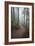 Wildwood Trail In Forest Park. Portland, Oregon-Justin Bailie-Framed Photographic Print