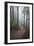 Wildwood Trail In Forest Park. Portland, Oregon-Justin Bailie-Framed Photographic Print