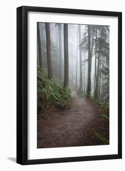 Wildwood Trail In Forest Park. Portland, Oregon-Justin Bailie-Framed Photographic Print