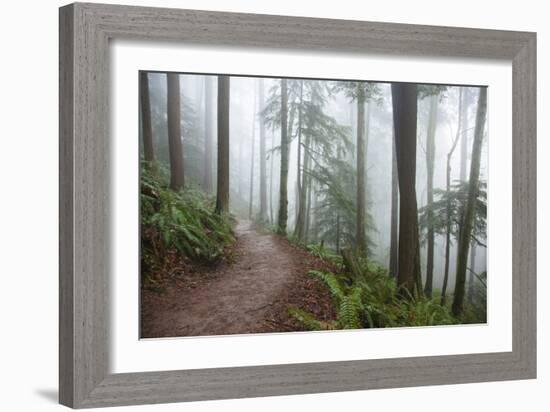 Wildwood Trail In Forest Park. Portland, Oregon-Justin Bailie-Framed Photographic Print