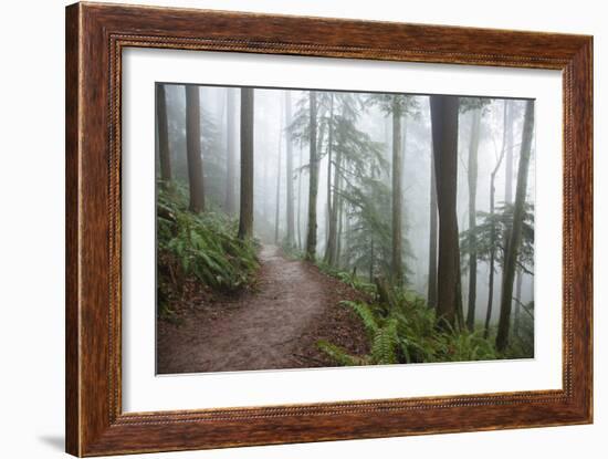 Wildwood Trail In Forest Park. Portland, Oregon-Justin Bailie-Framed Photographic Print