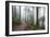 Wildwood Trail In Forest Park. Portland, Oregon-Justin Bailie-Framed Photographic Print