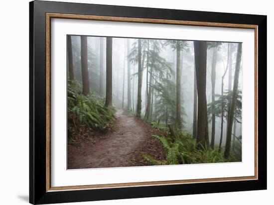 Wildwood Trail In Forest Park. Portland, Oregon-Justin Bailie-Framed Photographic Print