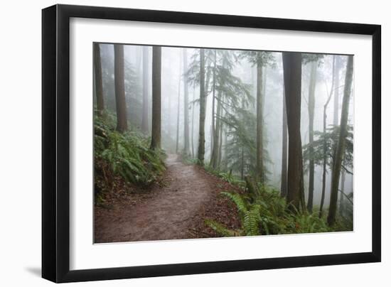 Wildwood Trail In Forest Park. Portland, Oregon-Justin Bailie-Framed Photographic Print