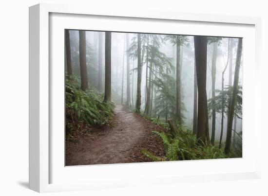 Wildwood Trail In Forest Park. Portland, Oregon-Justin Bailie-Framed Photographic Print