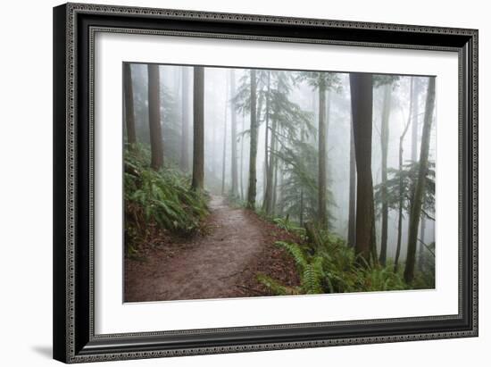 Wildwood Trail In Forest Park. Portland, Oregon-Justin Bailie-Framed Photographic Print