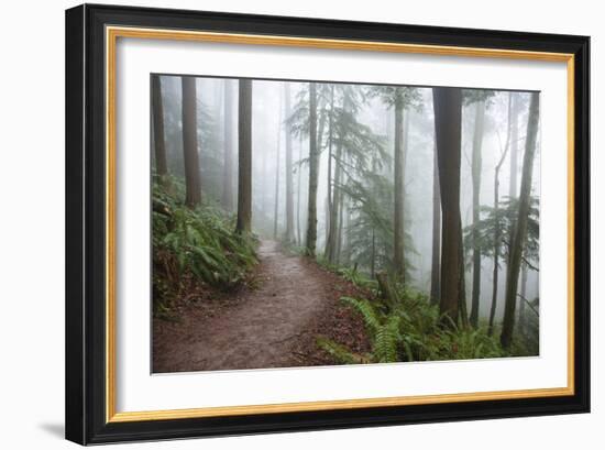 Wildwood Trail In Forest Park. Portland, Oregon-Justin Bailie-Framed Photographic Print