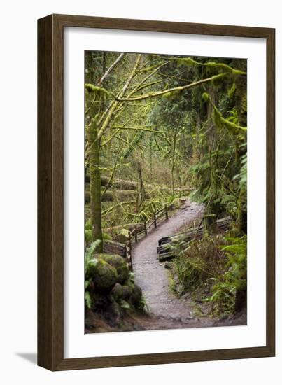 Wildwood Trail In Forest Park. Portland, Oregon-Justin Bailie-Framed Photographic Print