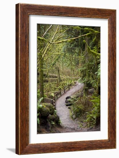 Wildwood Trail In Forest Park. Portland, Oregon-Justin Bailie-Framed Photographic Print