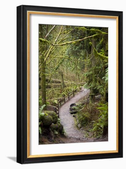 Wildwood Trail In Forest Park. Portland, Oregon-Justin Bailie-Framed Photographic Print