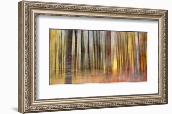 Wildwood V-Sven Pfrommer-Framed Giclee Print