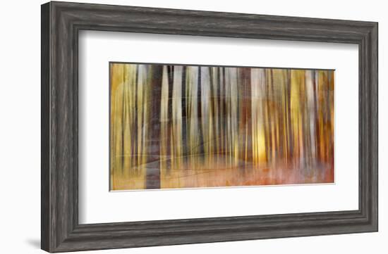 Wildwood V-Sven Pfrommer-Framed Giclee Print