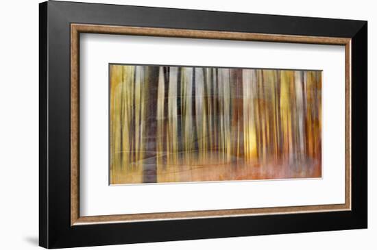 Wildwood V-Sven Pfrommer-Framed Giclee Print