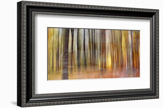 Wildwood V-Sven Pfrommer-Framed Giclee Print