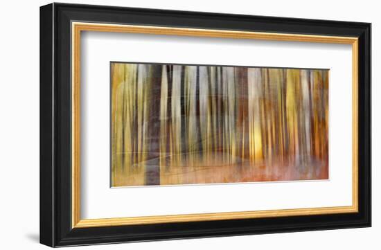 Wildwood V-Sven Pfrommer-Framed Giclee Print