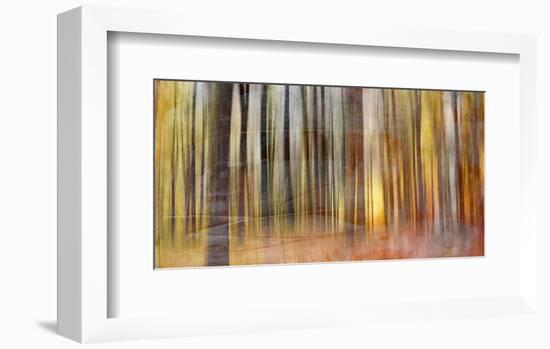 Wildwood V-Sven Pfrommer-Framed Giclee Print