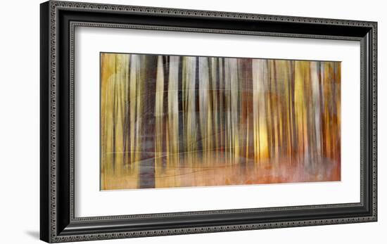 Wildwood V-Sven Pfrommer-Framed Giclee Print