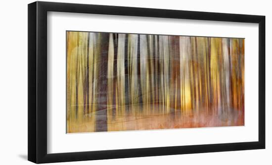 Wildwood V-Sven Pfrommer-Framed Giclee Print