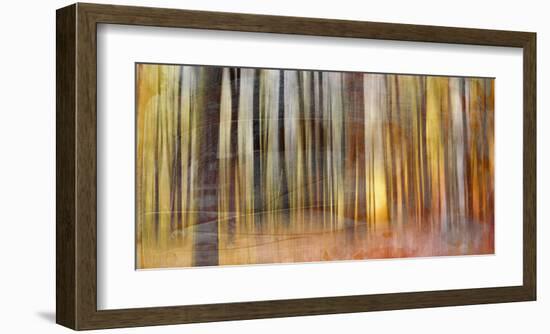 Wildwood V-Sven Pfrommer-Framed Giclee Print