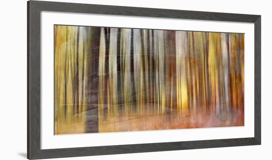 Wildwood V-Sven Pfrommer-Framed Giclee Print