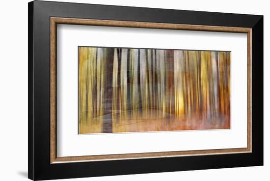 Wildwood V-Sven Pfrommer-Framed Art Print