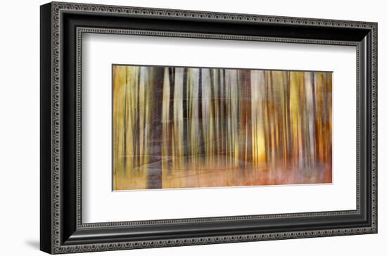 Wildwood V-Sven Pfrommer-Framed Art Print