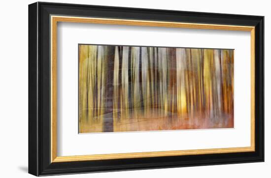 Wildwood V-Sven Pfrommer-Framed Art Print