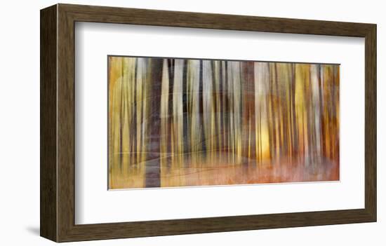 Wildwood V-Sven Pfrommer-Framed Art Print