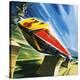Stretched Canvas Print
