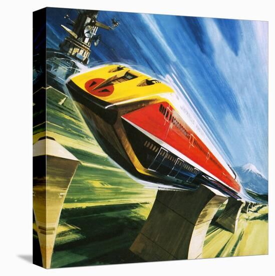 Stretched Canvas Print, , large